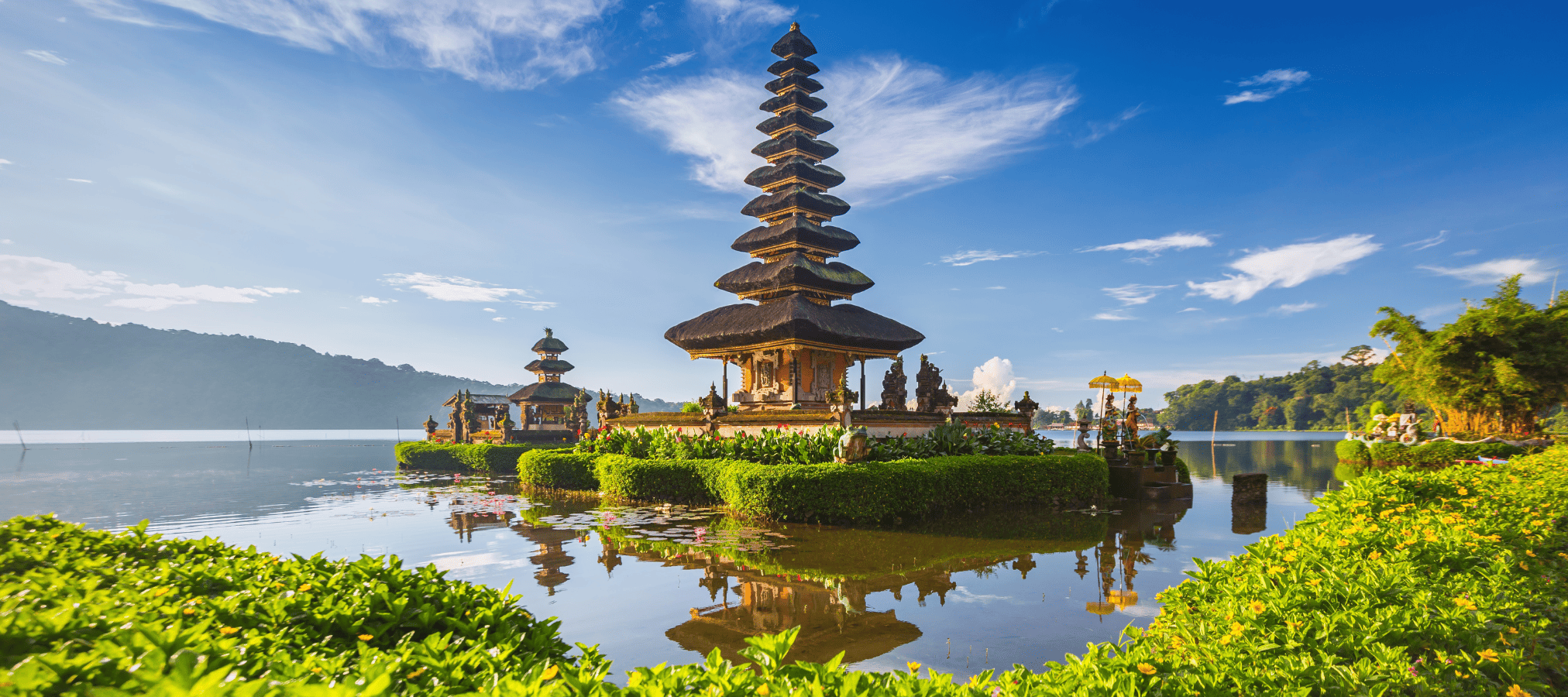 Plan Your Journey with SELECTED GLOBAL